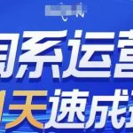 淘系运营21天速成班(更新24年9月)，0基础轻松搞定淘系运营，不做假把式