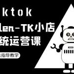 TK小店系统运营课-tiktok跨境电商教程