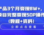 虚拟产品3个月变现8W+，小学教辅项目完整变现SOP操作教程(教程+资料)