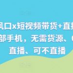 视频号新风口x短视频带货+直播带货，全程只需一部手机，无需货源、0粉丝、可直播、可不直播