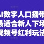 视频号AI数字人口播带货风口项目，最适合新人下场淘金的视频号红利玩法