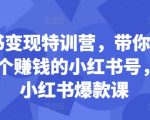 小红书变现特训营，带你从0到1做一个赚钱的小红书号，24堂小红书爆款课