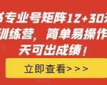 小红书专业号矩阵12+30天引流陪跑训练营，简单易操作，15天可出成绩!