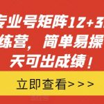 小红书专业号矩阵12+30天引流陪跑训练营，简单易操作，15天可出成绩!