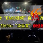 抖音EMO视频自热打法，日引500+“泛垂直”创业粉