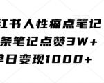 小红书人性痛点笔记，一条笔记点赞3W+，单日变现1k