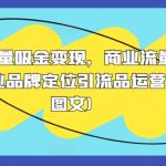 2024流量吸金变现，商业流量密码营销商业品牌定位引流品运营逻辑(图文)