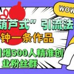 抖音葫芦式引流法，三分钟一条作品，单日引爆抖音500人精准创业粉丝群【揭秘】