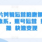 IP切片剪辑运营陪跑课，3大培训体系，账号运营 剪辑实操 快速变现