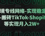 利用跨境专线网络-实现稳定直播-刷视频-搬砖TikTok-Shopify-FB等实现月入2W+【揭秘】