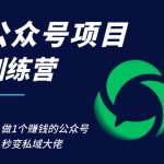 公众号项目训练营，30天做1个赚钱的公众号，秒变私域大佬