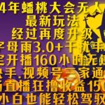 2024年蟠桃大会无人直播最新玩法，稳定开播160小时无违规，抖音、快手、视频号三家通用玩法【揭秘】