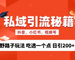 私域流量的精准化获客方法 野路子玩法 吃透一个点 日引200+ 【揭秘】