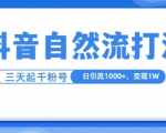 抖音自热流打法，单视频十万播放量，日引1000+，3变现1w