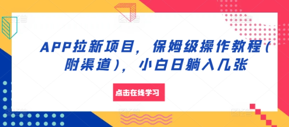 APP拉新项目，保姆级操作教程(附渠道)，小白日躺入几张【揭秘】