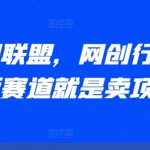 AI卖课联盟，网创行业天花板赛道就是卖项目