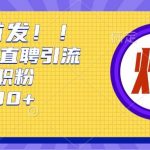 通过Boss直聘，每天轻松钓到200+多条创业大鱼的秘籍【揭秘】