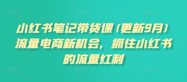 小红书笔记带货课(更新11月)流量电商新机会，抓住小红书的流量红利