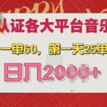 AI音乐申请各大平台音乐人，最详细的教材，一单60.第一天25单，日入多张【揭秘】