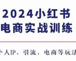 2024小红书电商3.0实战训练，包含个人IP、引流、电商等玩法