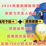 2024年最新稀缺项目敦煌飞天无人直播，项目自带流量，流量爆满，实现160小时实时直播不违规操