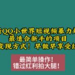 12月最新QQ小世界短视频暴力起号项目，最适合新手的项目，多种变现方式