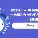 2024个人IP打造孵化模式流程课，一套最为完整的个人短视频落地课程(高阶班)