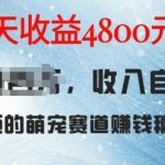 萌宠赛道赚钱秘籍：AI宠物兔视频详细拆解，9天收益4.8k