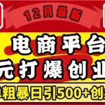 12月最新：电商平台1元打爆创业粉，简单粗暴日引500+精准创业粉，轻松月入过W【揭秘】