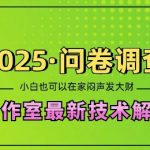 2025问卷调查最新工作室技术解密：一个人在家也可以闷声发大财，小白一天2张，可矩阵放大【揭秘】