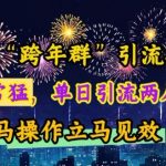 最新“跨年群”引流，流量非常猛，单日引流两人满人群，立马操作立马见效【揭秘】