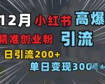 小红书一张图片“引爆”创业粉，单日+200+精准创业粉 可筛选付费意识创业粉【揭秘】