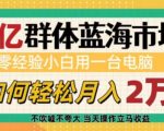 6亿群体蓝海市场，零经验小白用一台电脑，如何轻松月入过w【揭秘】